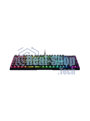 Клавиатура проводная игровая Razer BlackWidow V4 X (Green Switch) - Russian Layout