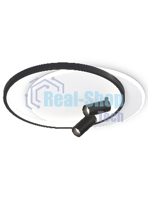 Светильник Ambrella light FL5137/2+2 WH/BK белый/черный 66W 3000K/4200K/6400K+4200K 500*420*130 (ПДУ ИК)