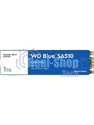 Накопитель SSD WD Blue SA510 WDS100T3B0B, 1Tb, SATA III, M.2 2280, R/W 560/520