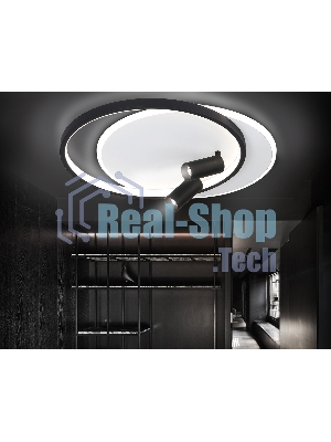 Светильник Ambrella light FL5137/2+2 WH/BK белый/черный 66W 3000K/4200K/6400K+4200K 500*420*130 (ПДУ ИК)