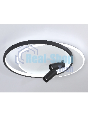 Светильник Ambrella light FL5137/2+2 WH/BK белый/черный 66W 3000K/4200K/6400K+4200K 500*420*130 (ПДУ ИК)