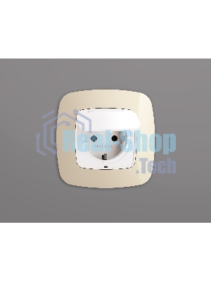 Лицевая панель OMEGA (Белый матовый) для электрической розетки с/з со шторками и крышкой IP44 QUANT OP1280