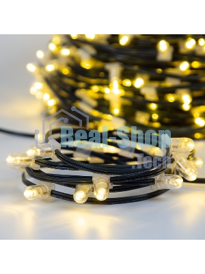 Гирлянда Neon-night LED Clip Light 12V шаг 150 мм, цвет диодов теплый белый, Flashing (белый)