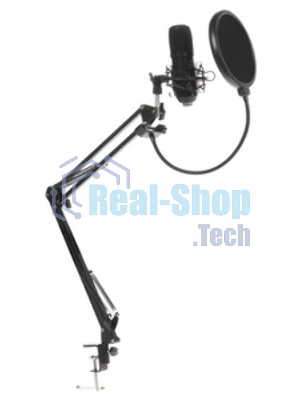 Микрофон Ritmix RDM-169 черный