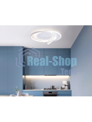 Светильник Ambrella light FL51391/1+2 WH белый 3000K-6400K 65W 560*480*120 (ПДУ РАДИО 2.4G)