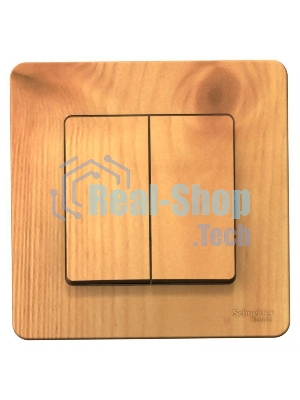 Выключатель 2-кл. СП Blanca (сх.5) 10А 250 В ясень SchE BLNVS010505