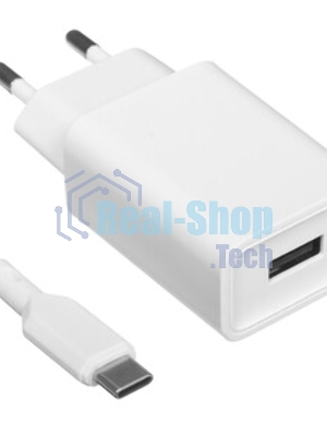 Сетевое зарядное устройство BOROFONE (6974443385731) BA68Aa для Type-C, белый
