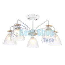 Светильник Ambrella light TR9567/5 WH/FR белый/белый матовый E27/5 max 40W D620*250