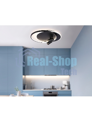 Светильник Ambrella light FL51393/1+2 BK черный 3000K-6400K 65W 560*480*120 (ПДУ РАДИО 2.4G)