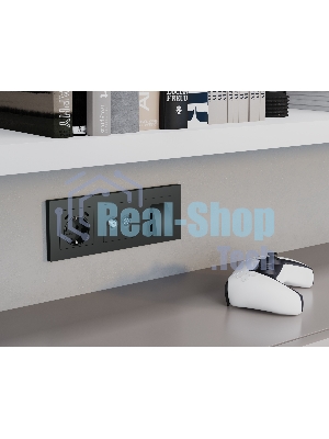Комплект механизма электрической розетки 2USB С+C 20W с/з на винтовых зажимах 16A-250V ALFA Графит мягкое касание QUANT (AP9105, VM165) MA910510