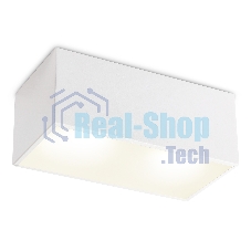 Светильник Ambrella light TN6534/2 WH белый IP44 GX53/2 200*100*80