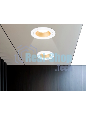 Встраиваемый точечный светильник Ambrella light TN102823 WH/GD белый/золото GU5.3 D92*50