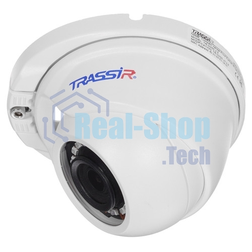 Антивор-видеонаблюдения Trassir TR-D2S5 v2 с PoE (2.8 мм) 2 шт + 12 месяцев записи архива в облако.