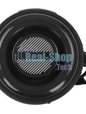 Портативная колонка BQ PBS4004 черный 20 Вт Bluetooth