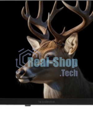 Телевизор TopDevice 24