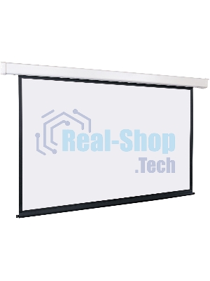 Экран с электроприводом Lumien Master Control 208х300 см (раб. область 164х292см) (122