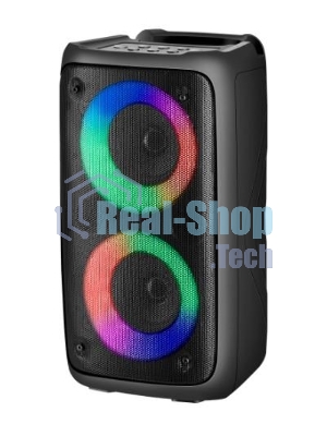 Портативная колонка Defender Boomer 20 20Вт Light/BT/FM/USB/AUX/MIC черный