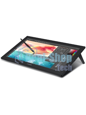 Графический планшет сенсорный дисплей Huion KAMVAS Pro 24