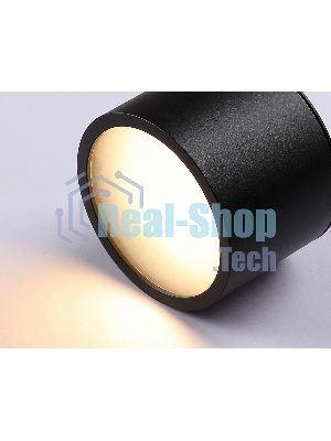 Светильник Ambrella light TN6551 BK черный IP44 GX53 max 15W D82*60