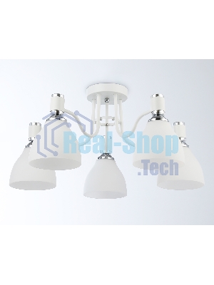 Светильник Ambrella light TR303305/5 WH/CH/FR белый/хром/белый матовый E27*5 max 60W D600*270