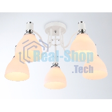 Светильник Ambrella light TR303305/5 WH/CH/FR белый/хром/белый матовый E27*5 max 60W D600*270