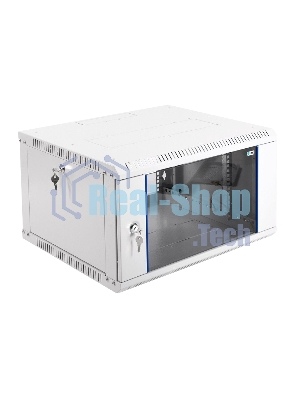 Шкаф телекоммуникационный настенный разборный 6U (600 x 650) дверь стекло