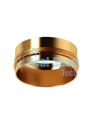 Насадка для корпуса светильника N6124 PYG золото желтое полированное D60*H32mm Out10mm MR16