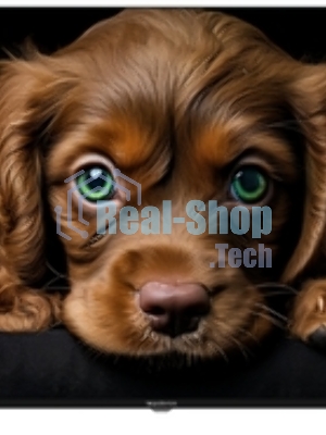 Телевизор TopDevice 55
