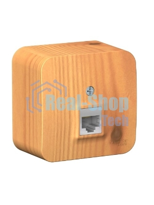 Systeme Electric Blanca наруж Ясень Розетка компьютерная RJ45, кат.5E, изолир. пластина