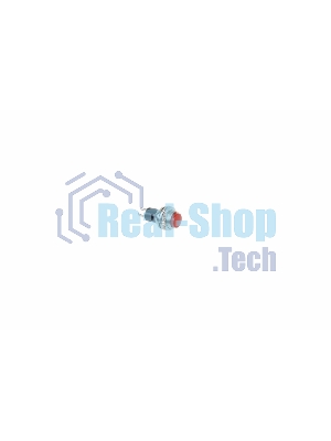 Выключатель-кнопка металл Rexant 220V 2А (2с) (ON)-OFF Ø10.2 красный Mini