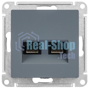 Розетка компьютерная двойная RJ45+RJ45, кат.5E, механизм ATN000785 Schneider Electric AtlasDesign Грифель