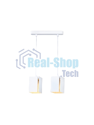 Светильник подвесной TN5131/2 WH белый E27/2 max 40W 260*80*1150