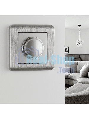 Рамка на 1 пост (серебряный) W0012106