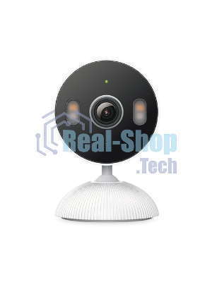 Внутренняя/наружная умная Wi-Fi камера TP-Link Tapo C113