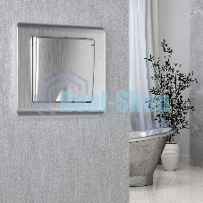 Рамка на 1 пост (серебряный) W0012106