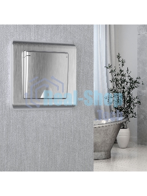 Рамка на 1 пост (серебряный) W0012106