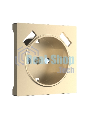 Накладка для розетки USB (шампань)