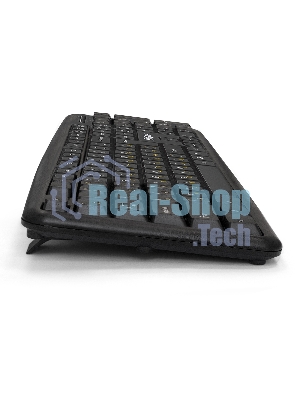 Комплект клавиатура+мышь ExeGate Professional Standard Combo MK120-OEM проводной, USB, 1000 DPI, чёрный