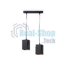 Светильник подвесной TN5133/2 BK черный E27/2 max 40W 260*80*1150