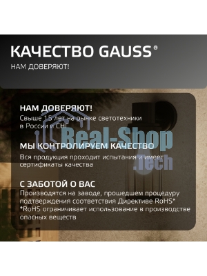 Светильник садово-парковый Gauss Vega на стену вниз 10.5x24x14.2cm, 170-240V/50Hz, 1xE27, Max.60W, IP: 54, 1/24