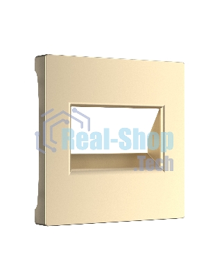 Накладка для двойной розетки Еthernet RJ-45 (шампань)