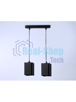 Светильник подвесной TN5133/2 BK черный E27/2 max 40W 260*80*1150