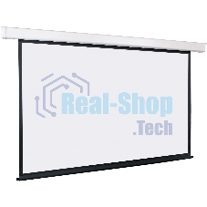 Экран с электроприводом Lumien Eco Control 177x80 см (раб. область 169х272 см) Matte White черная кайма по периметру 16:9