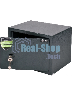 Сейф мебельный Cactus CS-SF-K25 250x350x250мм ключевой