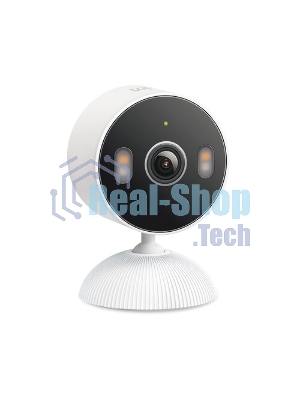 Внутренняя/наружная умная Wi-Fi камера TP-Link Tapo C113