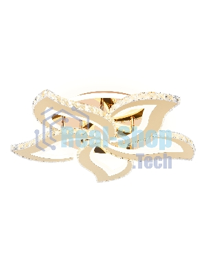 Потолочный светодиодный светильник Ambrella light FA1724/5 GD золото 3000K/4200K/6400K 113W 630*600*100 (ПДУ РАДИО 2.4G)