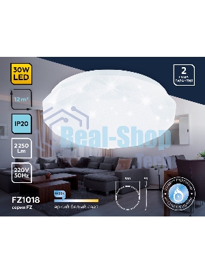 Потолочный светодиодный светильник Ambrella light FZ1018 WH белый 30W 6400K D380*55 (Без ПДУ)