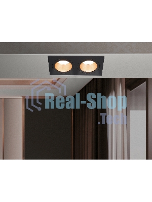 Встраиваемый точечный светильник Ambrella light TN102833/2 BK/GD черный/золото GU5.3/2 178*93*50