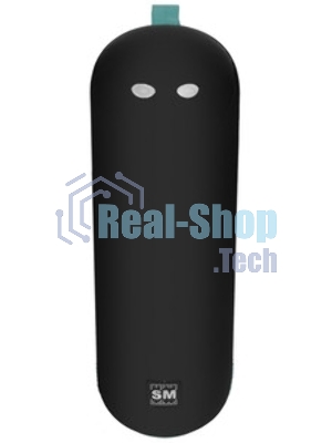 Портативная колонка Soundmax SM-PS5023B зеленый