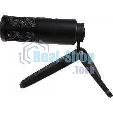 Микрофон конденсаторный студийный AUDIO-TECHNICA ATR2500x-USB